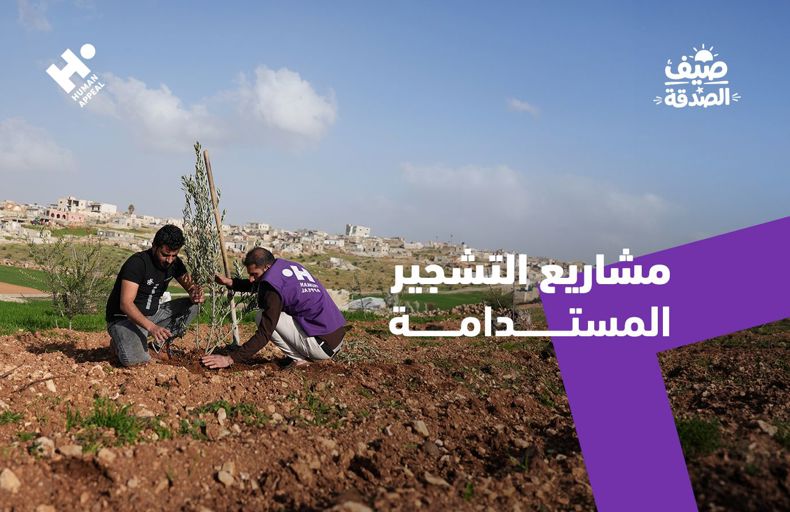 مشاريع التشجير المستدامة