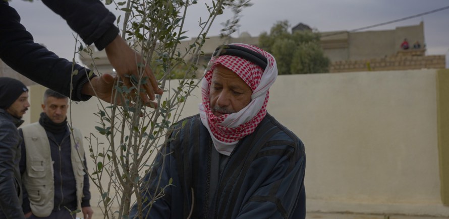 منحة المشاريع الصغيرة في العراق