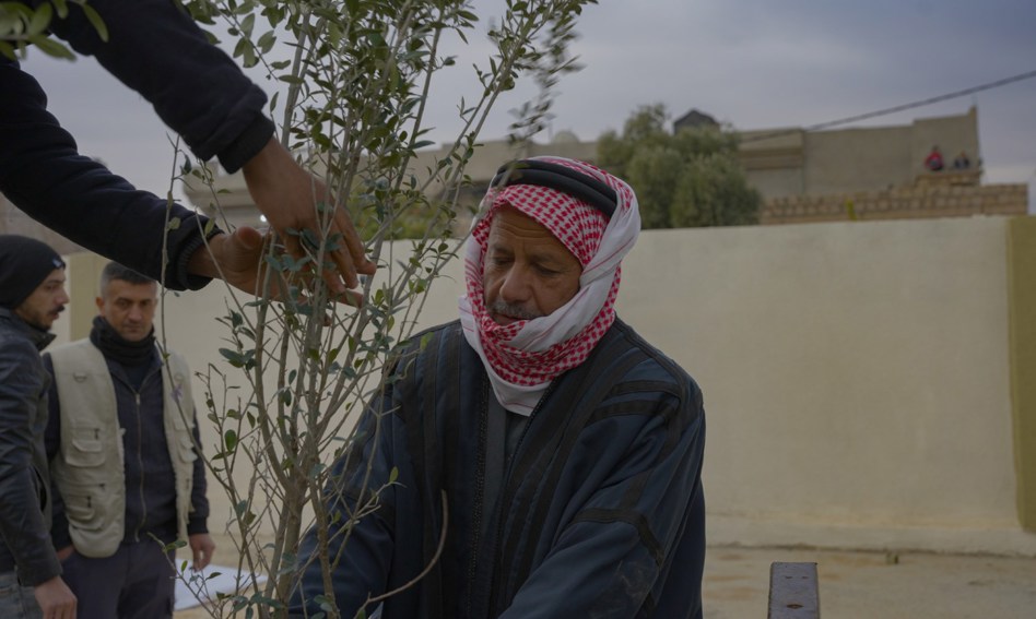 منحة سبل العيش في العراق