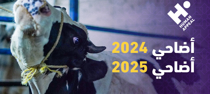 أضاحي 2024 وأضاحي 2025: إنجازاتٌ وخطط توسعية