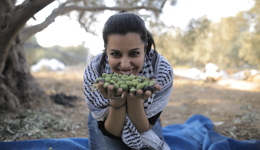 ازرع شجرة زيتون في سوريا أو العراق