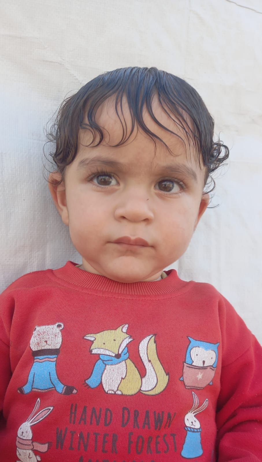 Mohammed, Human Appeal Orphan from فلسطين