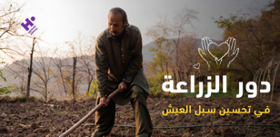 ما دور الزراعة في تحسين سبل العيش بالمجتمعات المتضررة؟