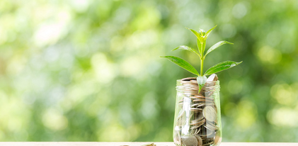 زكاة الشركات