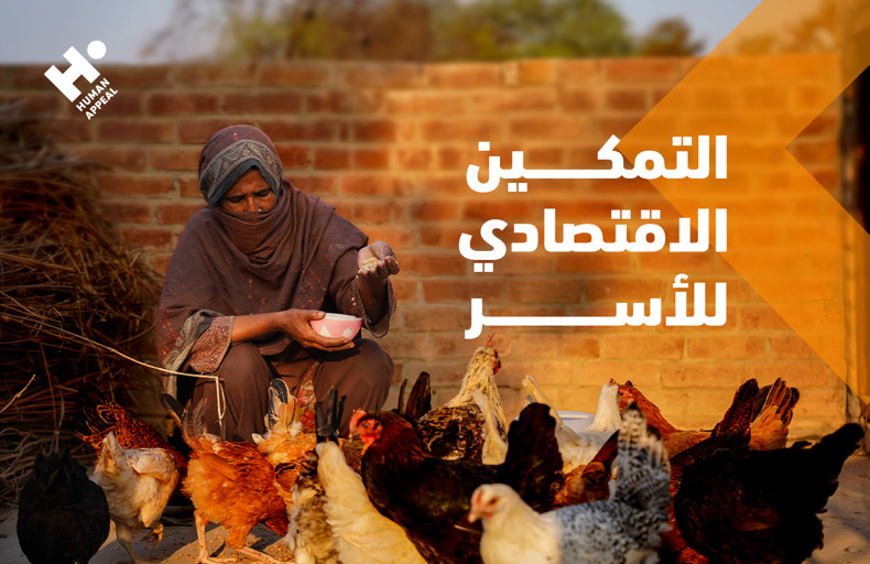 التمكين الاقتصادي للأسر