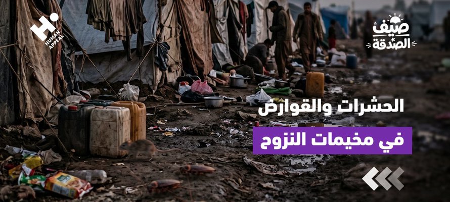 كيف تزيد الحشرات والقوارض من معاناة الأسر النازحة؟