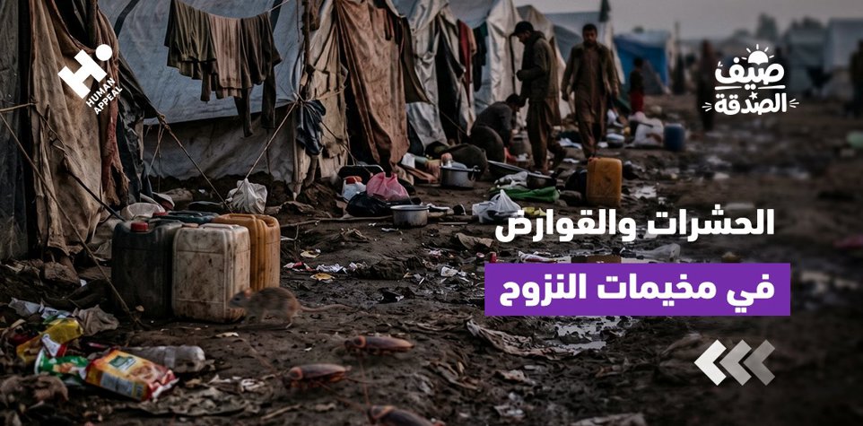 كيف تزيد الحشرات والقوارض من معاناة الأسر النازحة؟