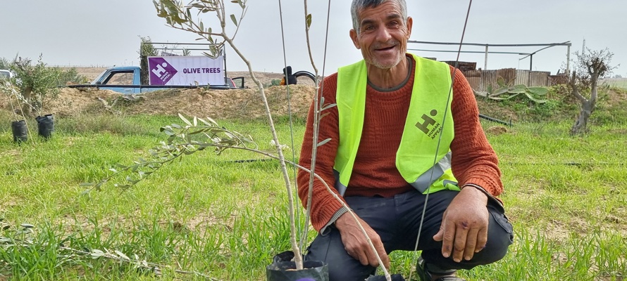 هيومان أبيل تزرع 25 ألف شجرة زيتون في فلسطين