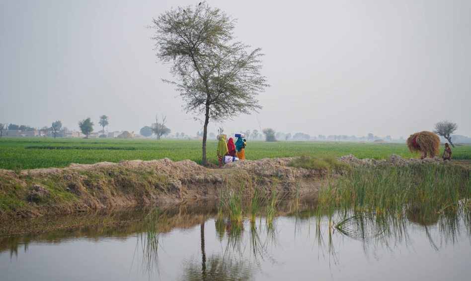 صندوق طوارئ فيضانات باكستان