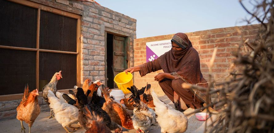 مزرعة دواجن