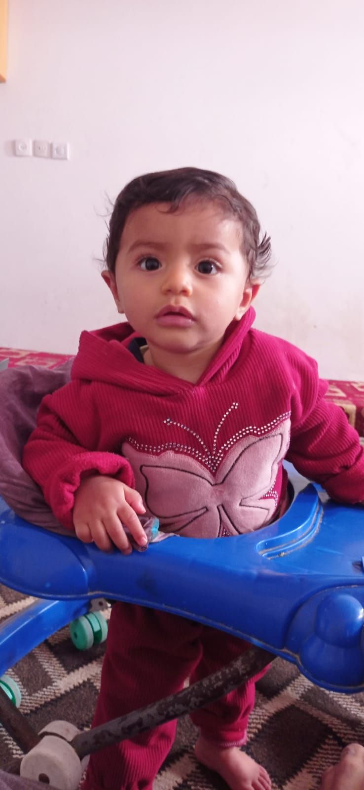 Hour, Human Appeal Orphan from فلسطين